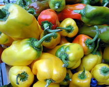 Immagine 1 di PEPERONE QUADRATO DI CARMAGNOLA  AGRI CAVAGLIATO 1926