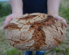 Immagine 1 di PRODOTTI ARTIGIANALI DA FORNO AGRI