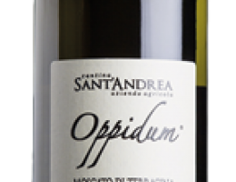 Immagine 1 di MOSCATO DI TERRACINA D.O.C. SECCO OPPIDUM