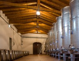 Immagine 2 di PINOT GRIGIO D.O.C. COLLIO TOROS FRANCO VIGNA E VINI