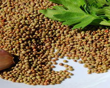 Immagine 1 di Lenticchia di Ventotene