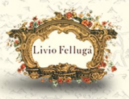 Immagine 1 di C.O.F. REFOSCO DAL PENDUNCOLO ROSSO D.O.C.