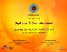 Immagine 2 di CESANESE DEL PIGLIO D.O.C.G. ROMANTICO