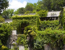 Immagine 3 di ATINA CABERNET RISERVA D.O.C. REALMAGONA