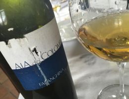 Immagine 1 di SANNIO FALANGHINA D.O.C.