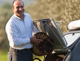 Immagine 1 di OLIO EXTRAVERGINE DI OLIVA CULTIVAR ITRANA