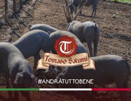 Immagine 4 di CULATELLO MATESE