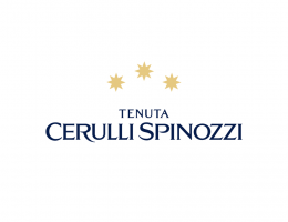 Immagine 4 di MONTEPULCIANO D'ABRUZZO COLLINE TERAMANE RISERVA D.O.C.G. TORRE MIGLIORI