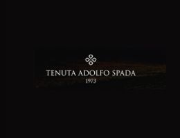 Immagine 1 di FALANGHINA ROCCAMONFINA I.G.T. FIORFLORES