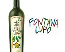 Immagine 1 di OLIO EXTRAVERGINE DI OLIVA CULTIVAR CAIZZANE ALTA QUALITA' COLLINE CAIATINE FONTALUPO