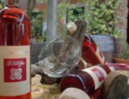 Immagine 1 di TERRE DEL VOLTURNO ROSATO I.G.T. ROSETO DEL VOLTURNO