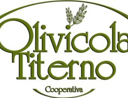 Immagine 2 di OLIO EXTRAVERGINE DI OLIVA BIO BLEND DI CATEGORIA SUPERIORE