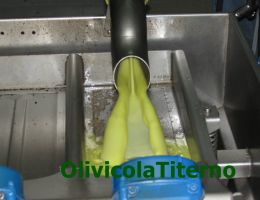 Immagine 3 di OLIO EXTRAVERGINE DI OLIVA BIO BLEND DI CATEGORIA SUPERIORE