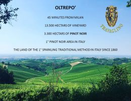 Immagine 2 di CRUASE' D.O.C.G. METODO CLASSICO MILLESIMATO BRUT MONTECERESINO TENUTA TRAVAGLINO