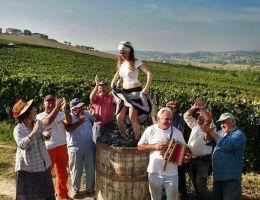 Immagine 1 di TREBBIANO D'ABRUZZO D.O.C. SAN MICHELE