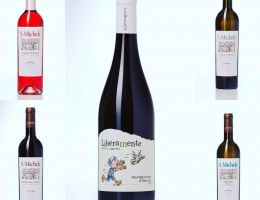 Immagine 2 di TREBBIANO D'ABRUZZO D.O.C. SAN MICHELE