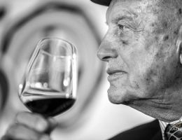 Immagine 3 di MONTEPULCIANO D'ABRUZZO D.O.C. EMIDIO PEPE