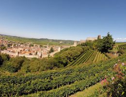 Immagine 3 di SOAVE VALPOLICELLA SUPERORE D.O.C.G. RUBERPAN