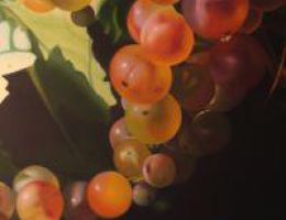 Immagine 4 di SOAVE VALPOLICELLA SUPERORE D.O.C.G. RUBERPAN