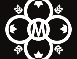 Immagine 4 di VICARIUM  BELGIAN STRONG ALE