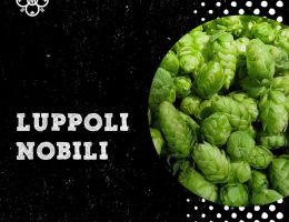 Immagine 5 di VICARIUM  BELGIAN STRONG ALE