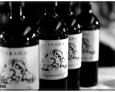 Immagine 1 di VENETO ROSSO I.G.T. INAMA  CARMENERE PIU'