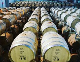 Immagine 2 di VENETO ROSSO I.G.T. INAMA  CARMENERE PIU'