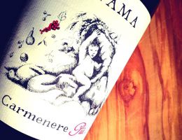 Immagine 4 di VENETO ROSSO I.G.T. INAMA  CARMENERE PIU'