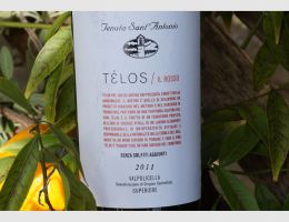 Immagine 2 di VALPOLICELLA SUPERIORE D.O.C TELOS IL ROSSO