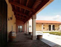 Immagine 4 di VALPOLICELLA SUPERIORE D.O.C TELOS IL ROSSO