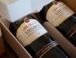 Immagine 5 di LUGANA D.O.C. SUPERIORE CAMPO SERA