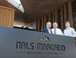 Immagine 1 di A.A. SUDTIROL  PINOT GRIGIO D.O.C. PUNGGL SELEZIONE