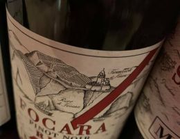 Immagine 4 di COLLI PESARESI PINOT NERO  D.O.C RIVE ZOTTOZONA FOCARA