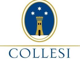 Immagine 3 di GRAPPA DI LACRIMA DI MORRO D'ALBA