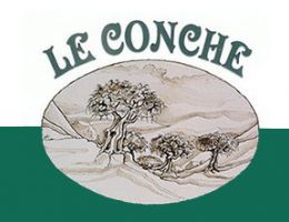 Immagine 1 di OLIO EXTRAVERGINE DI OLIVA D.O.P. BRUZIO VALLE CRATI