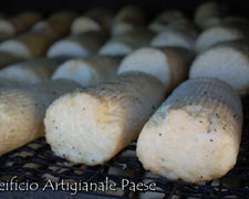 Immagine 1 di JUNCATA CALABRA