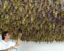 Immagine 2 di MOSCATO PASSITO DI SARACENA D.O.P.