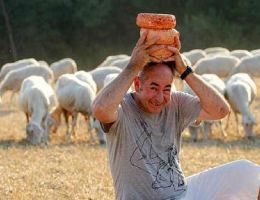 Immagine 1 di PECORINO DELLE BALZE VOLTERRANE