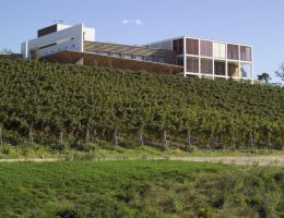 Immagine 2 di MONTECUCCO ROSSO RISERVA D.O.C. COLLE MASSARI