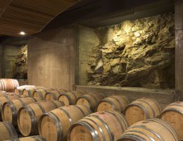 Immagine 3 di MONTECUCCO ROSSO RISERVA D.O.C. COLLE MASSARI