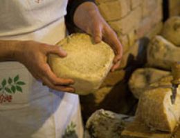 Immagine 1 di PECORINO DI FOSSA D.O.P.