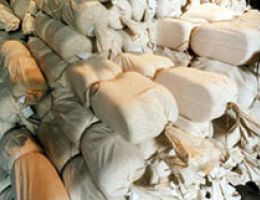 Immagine 4 di PECORINO DI FOSSA D.O.P.