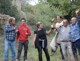 Immagine 4 di SAN LORENZO CILIEGIOLO MAREMMA TOSCANA I.G.T.