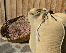 Immagine 1 di CAFFE' DI LUPINI DI ANTERIVO