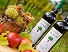 Immagine 2 di D.O.C. COLLIO SAUVIGNON RONCO DELLE MELE