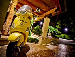 Immagine 4 di D.O.C. COLLIO SAUVIGNON RONCO DELLE MELE