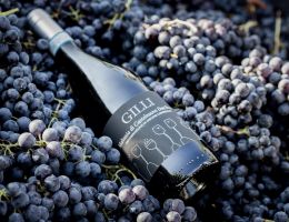 Immagine 1 di MALVASIA DI CASTELNUOVO DON BOSCO D.O.C. CASCINA GILLI VINI