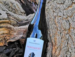 Immagine 1 di PERGOLA ROSSO D.O.C. MONTALFOJO