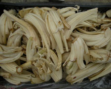 Immagine 1 di CARDO GOBBO DI NIZZA MONFERRATO AGRI VACCANEO