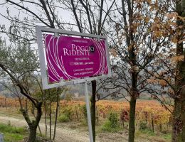 Immagine 2 di RUCHE' DI CASTAGNOLE MONFERRATO D.O.C.G. SAN MARZIANO POGGIO RIDENTE